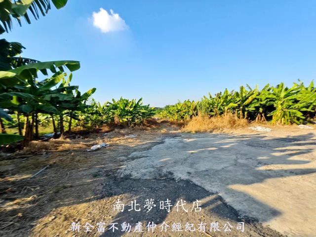 台南新化農地-4