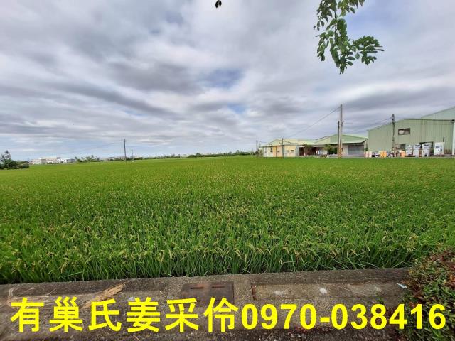 嘉義西區農地-9