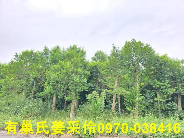 嘉義民雄農地-3