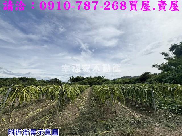 台南農地-11