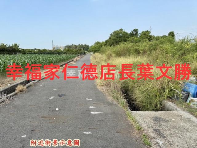 台南新市農地-10