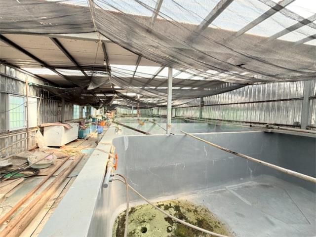 高雄彌陀農地-6