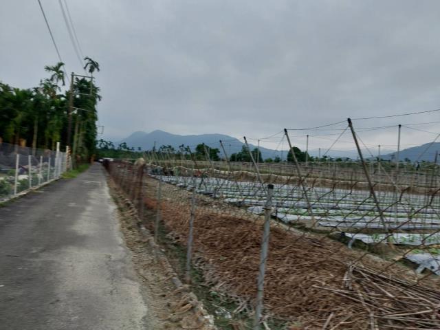 鹽埔農地-2
