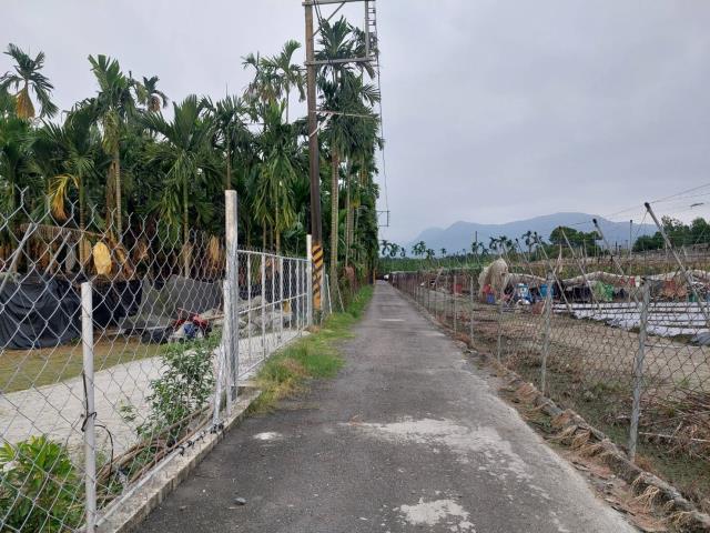 鹽埔農地-3