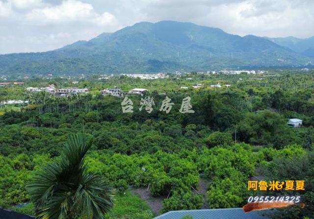 嘉義農地-9