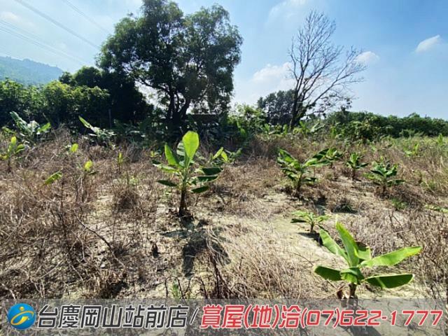 高雄阿蓮農地-15