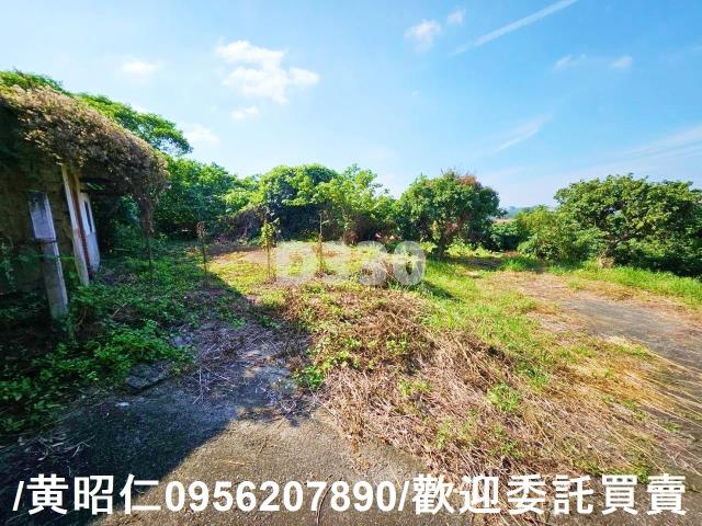 台南農地-7