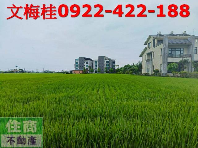 宜蘭壯圍農地-1