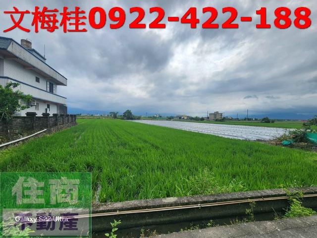 宜蘭壯圍農地-9