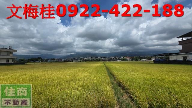 宜蘭宜蘭市農地-1