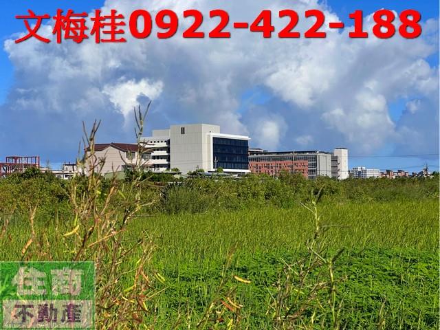 宜蘭宜蘭市農地-10