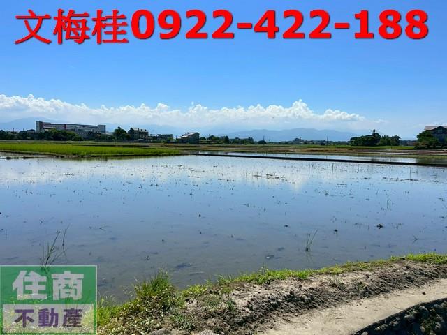 宜蘭宜蘭市農地-7