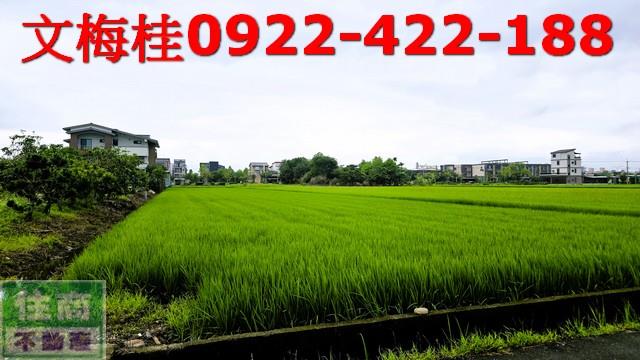 宜蘭宜蘭市農地-4