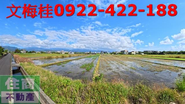 宜蘭宜蘭市農地-5