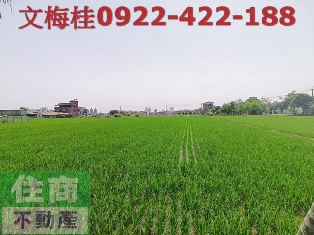 宜蘭宜蘭市農地-1