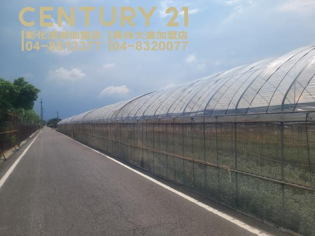 彰化田尾農地-3