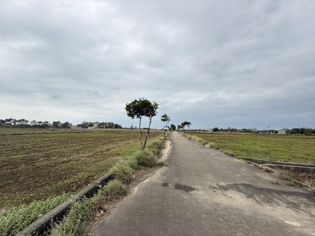 桃園新屋農地-3