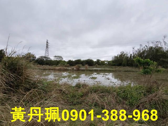 中壢農地-7