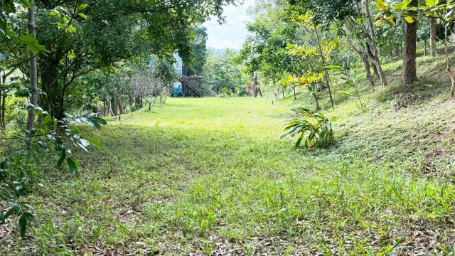 新竹關西農地-13