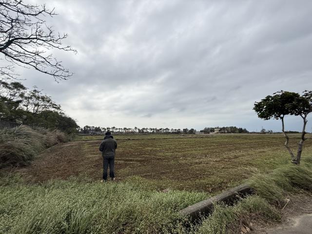 桃園新屋農地-4