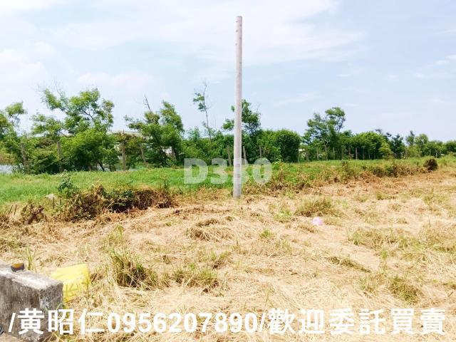 台南安南農地-7