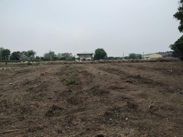 鹽埔農地-4