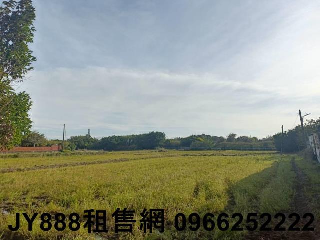 新屋農地-4