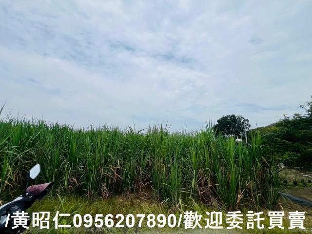 台南善化農地-11