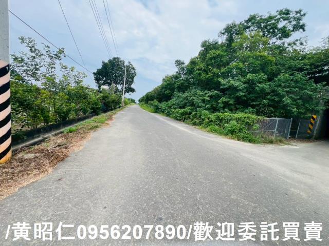 台南善化農地-6