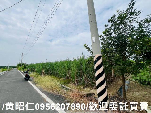 台南善化農地-7