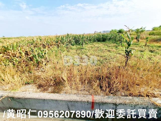 台南七股農地-4