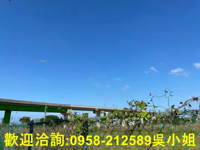 桃園大園商業地-6