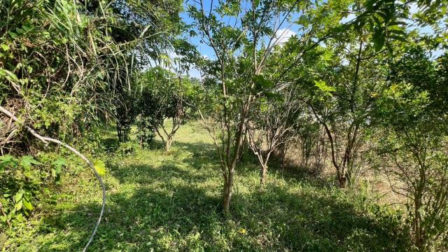 新竹交通用地-14