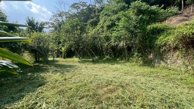 新竹交通用地-8