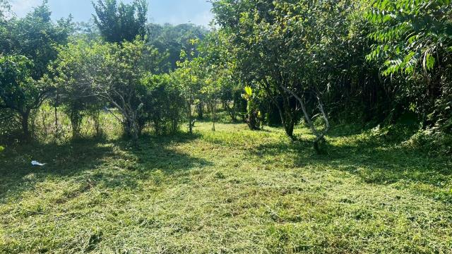 新竹交通用地-9