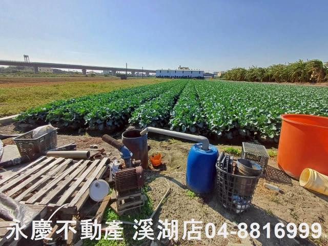 彰化埔鹽農地-10
