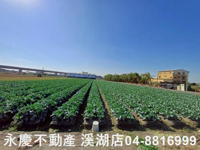 彰化埔鹽農地-12