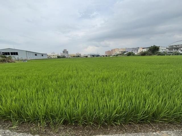 台中大雅農地-2