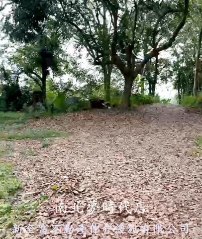 高雄杉林農地-1