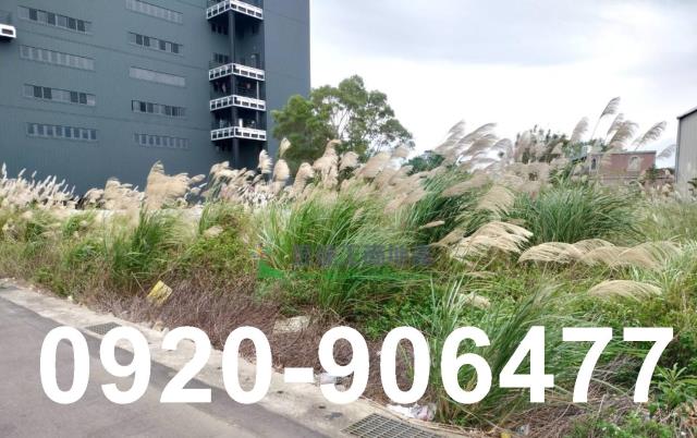 桃園龍潭工業地-2