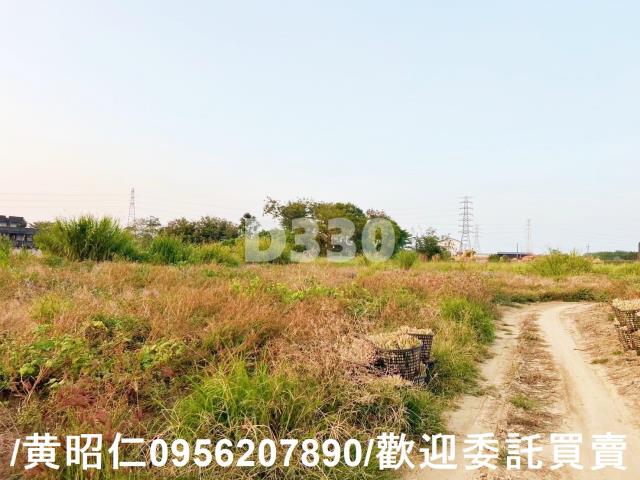 關廟農地-3