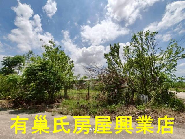 嘉義鹿草農地-5