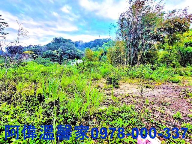 新竹橫山山坡地-1