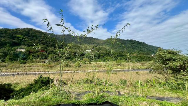 新竹橫山農地-13