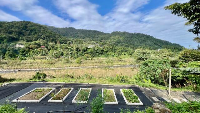 新竹橫山農地-15