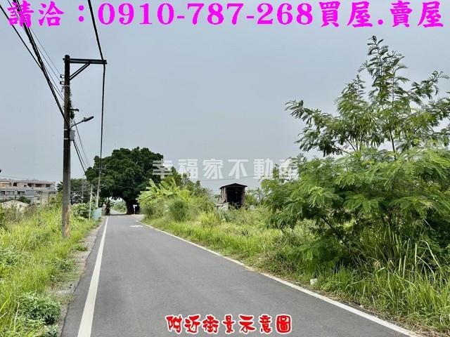 台南仁德農地-1