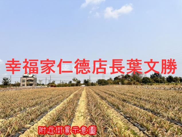 台南山上農地-9