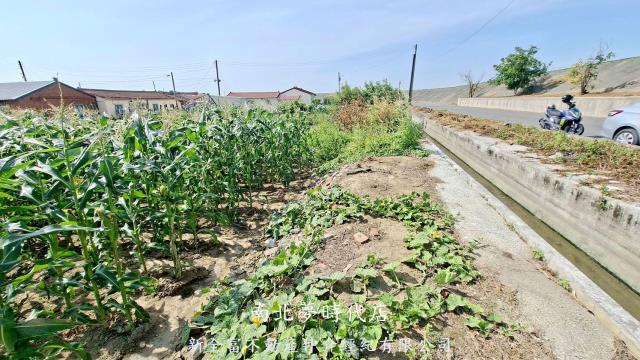 台南鹽水建地-5