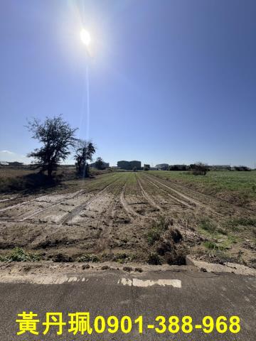 大園農地-2