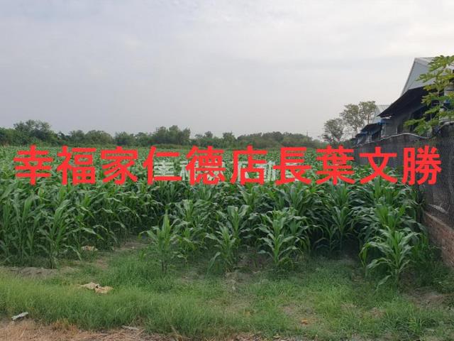 台南西港農地-6